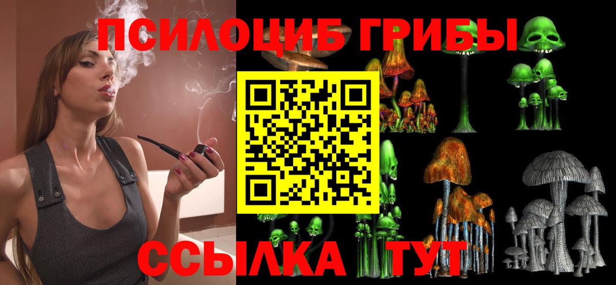 Звенигород  Галлюциногенные грибы GOLDEN TEACHER  Вход с VPN 